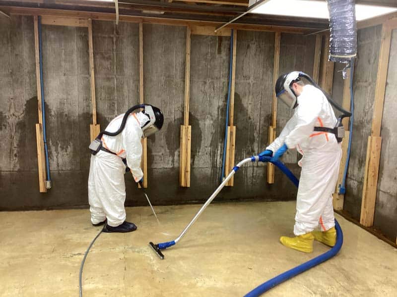 Professional Licensed Contractors